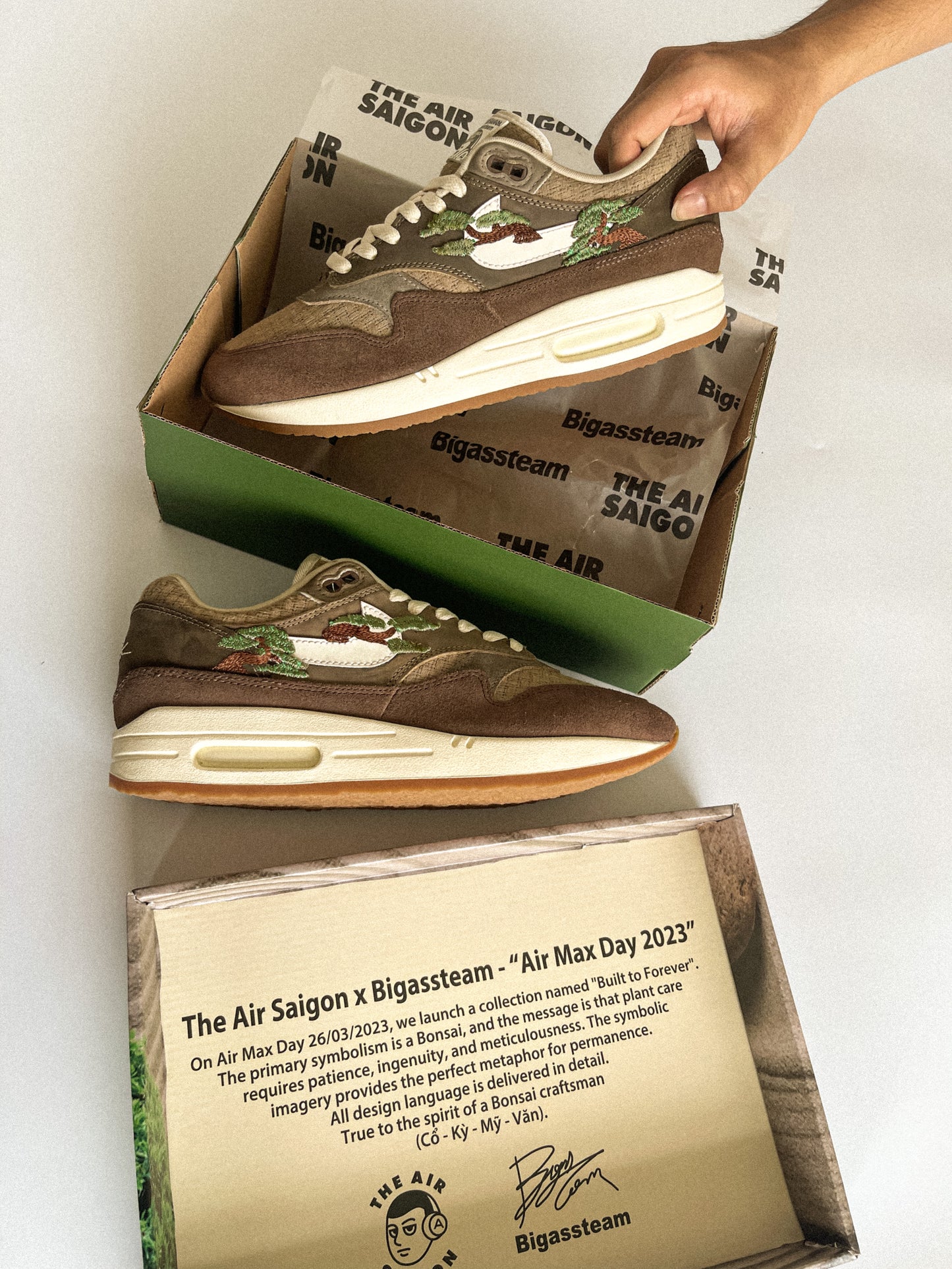 AM1 Kengai Bonsai Umber