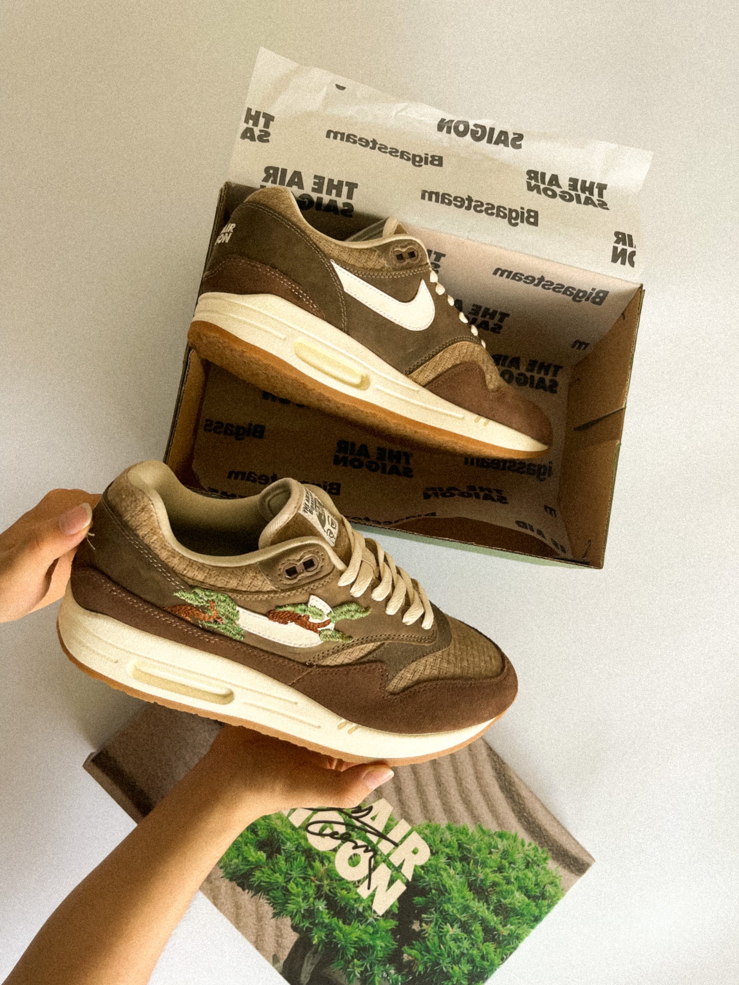 AM1 Kengai Bonsai Umber
