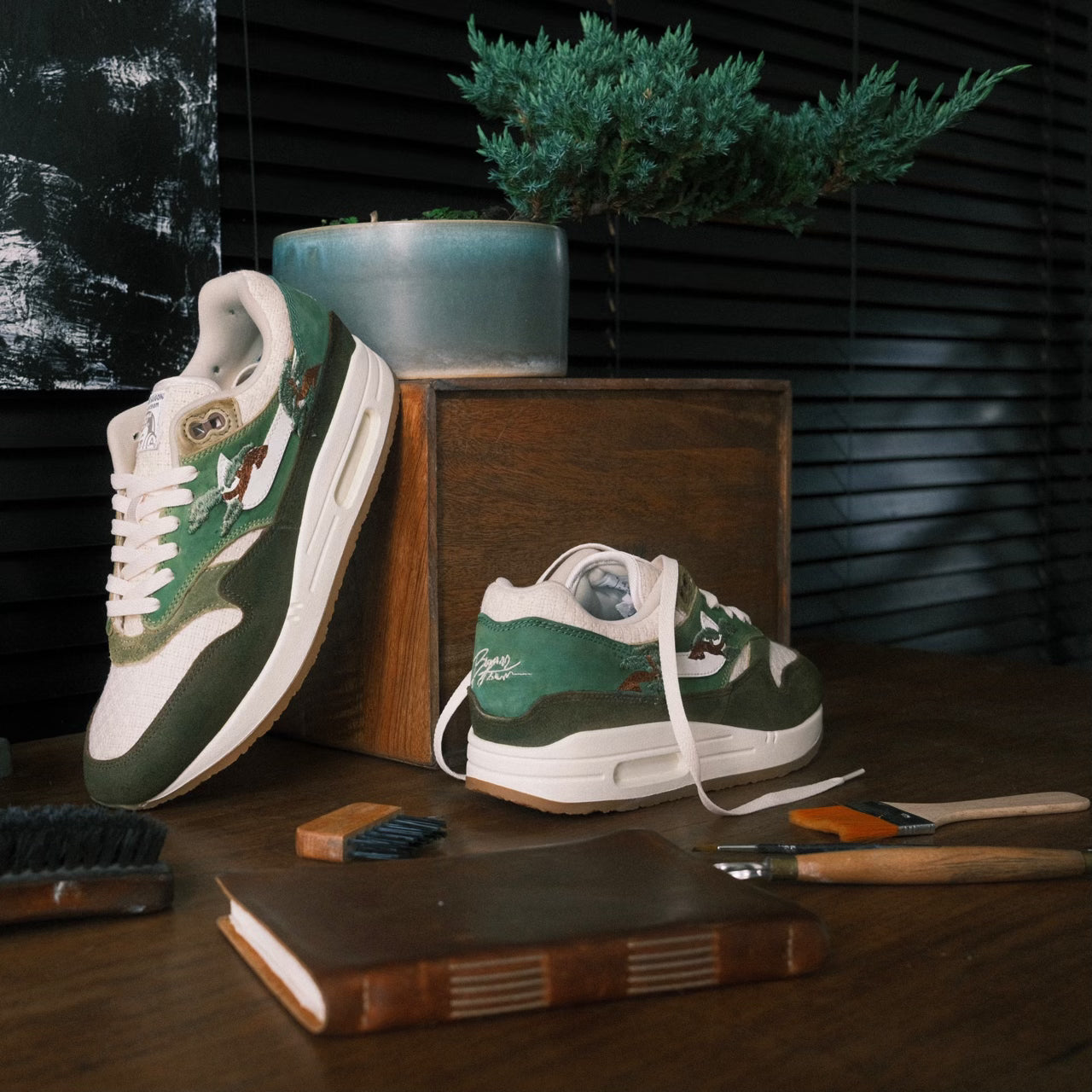AM1 Kengai Bonsai Olive