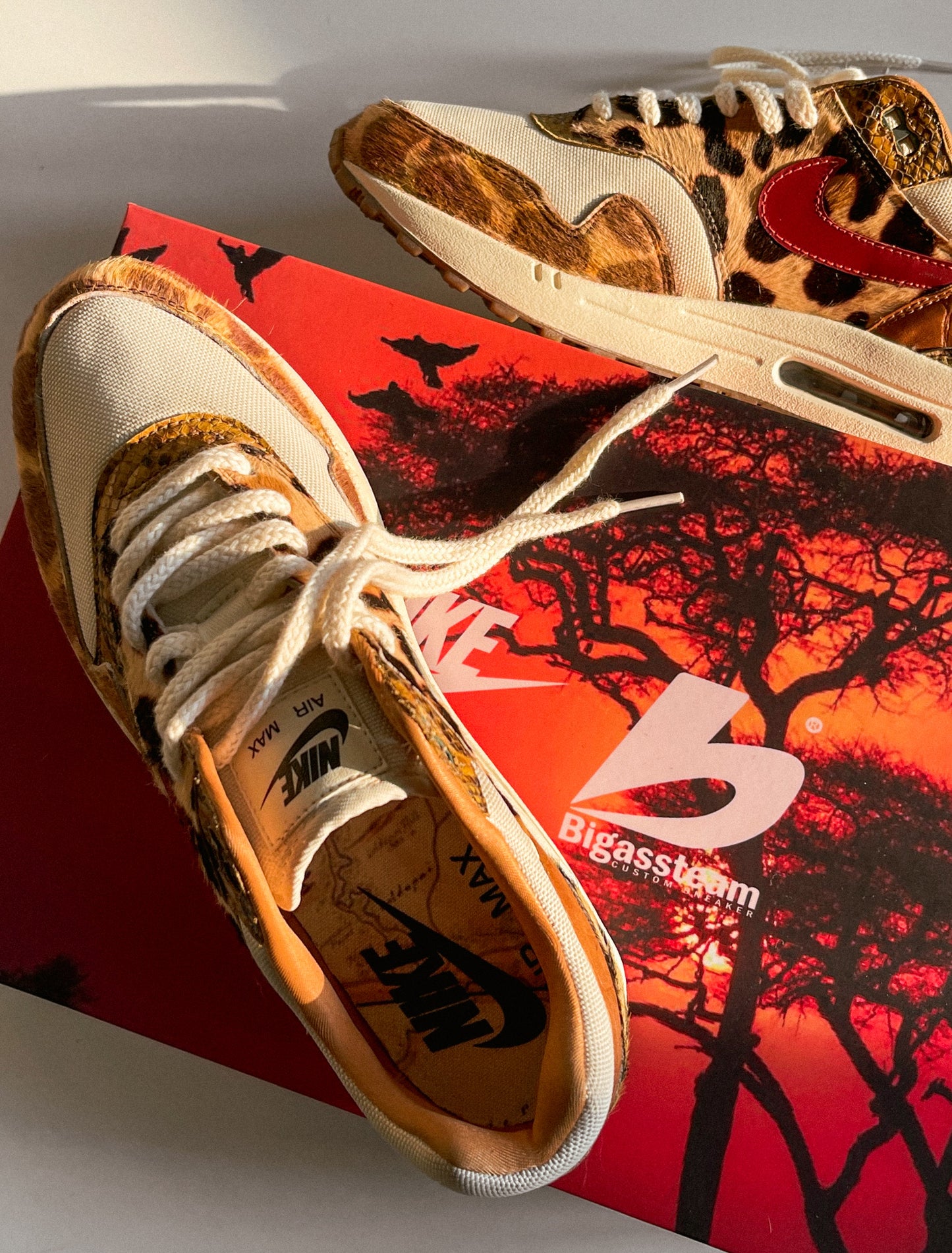 Air Max 1 Maasai Mara