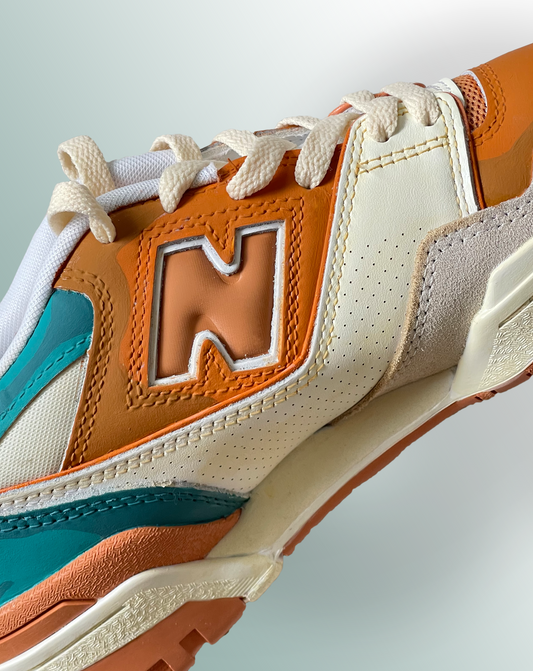 NB 550 Charizard