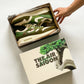 AM1 Kengai Bonsai Olive