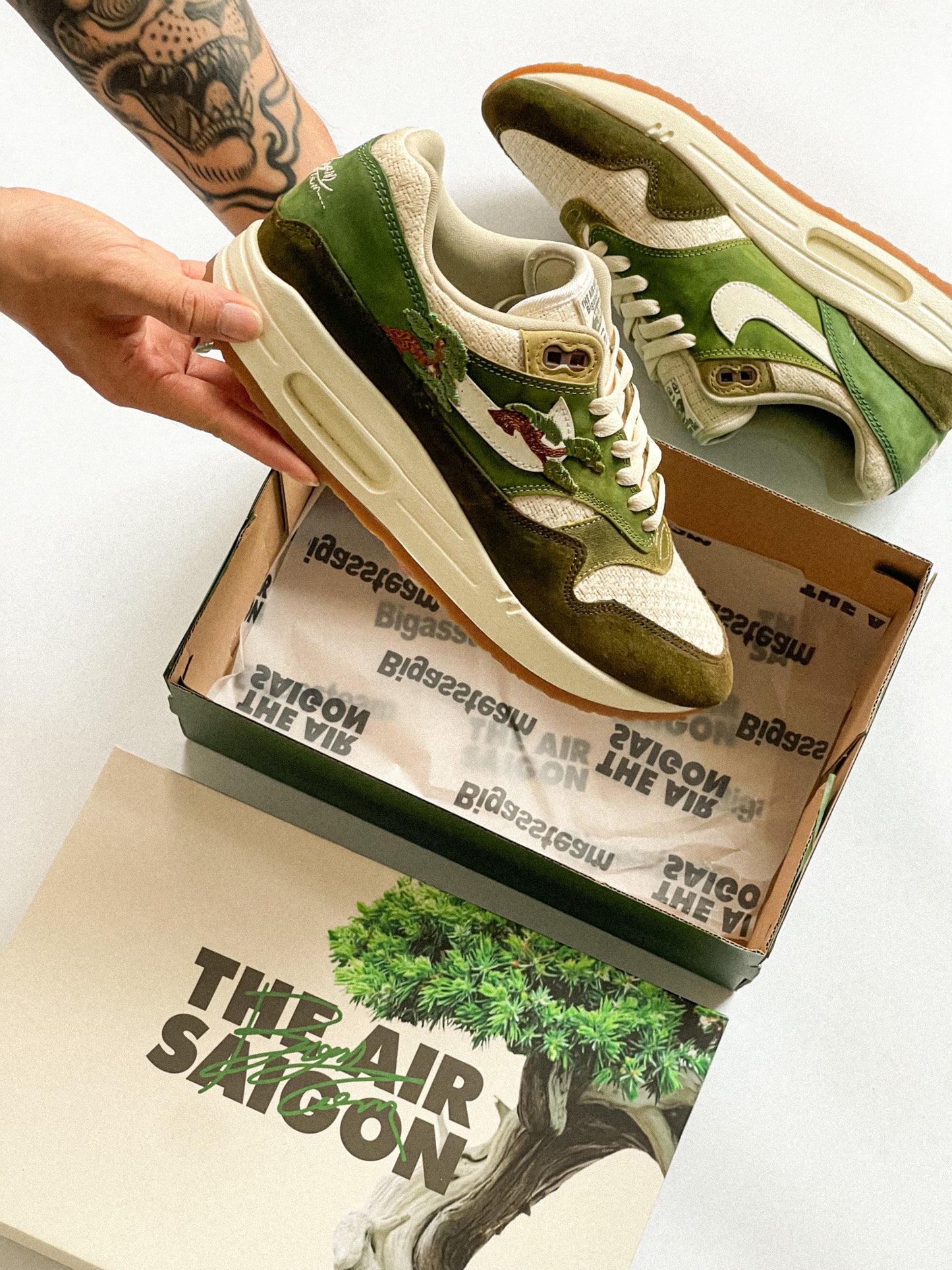 AM1 Kengai Bonsai Olive